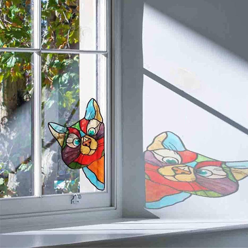 Decorazione Divertente dei Gatti
