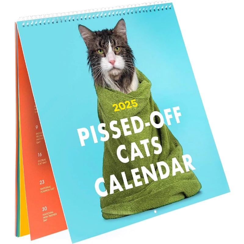 Calendario dei gatti incazzati del 2025