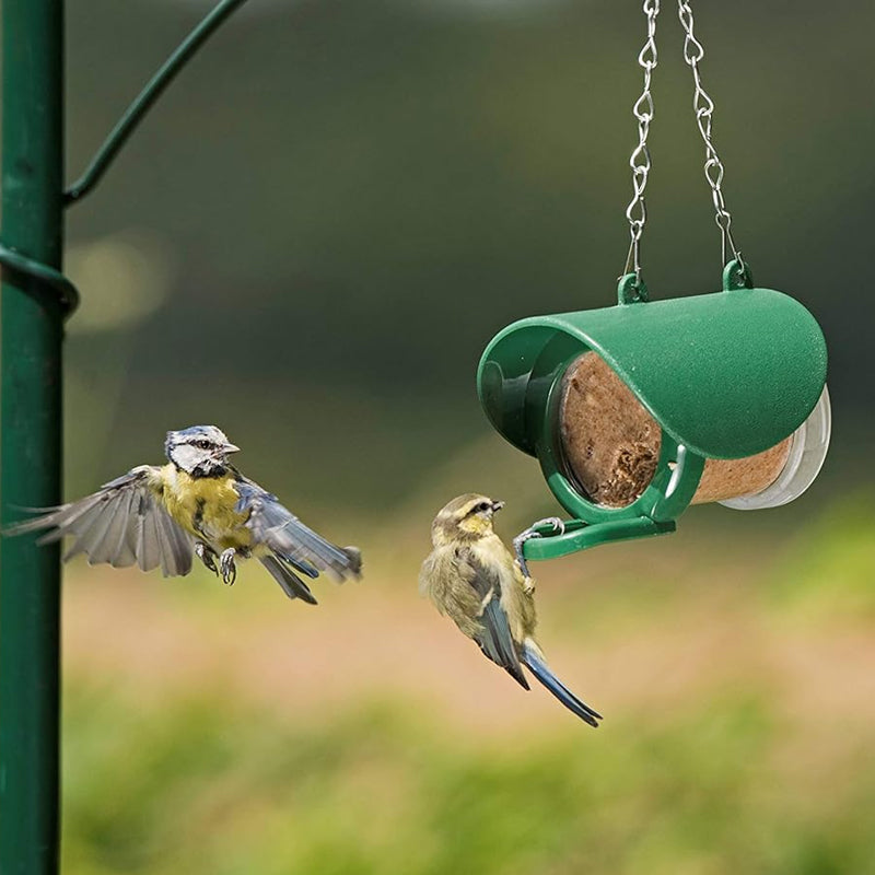 Mangiatoia per uccelli sospesa