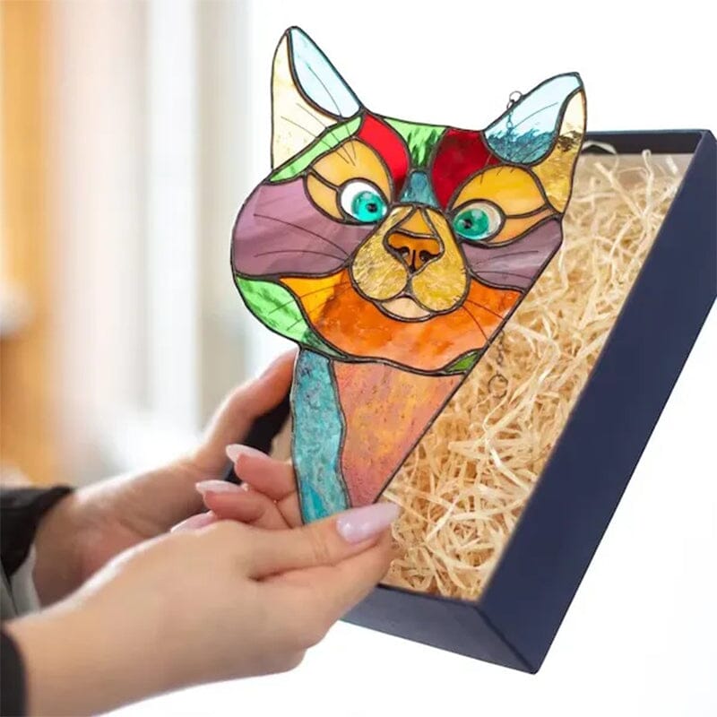 Decorazione Divertente dei Gatti
