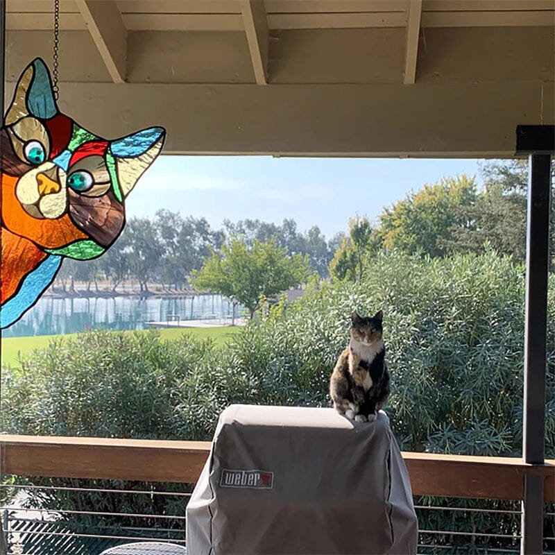 Decorazione Divertente dei Gatti