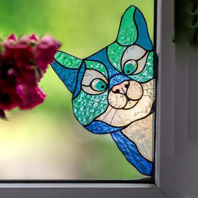 Decorazione Divertente dei Gatti