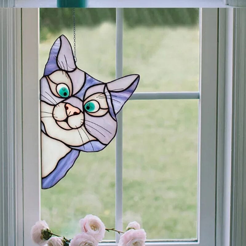 Decorazione Divertente dei Gatti
