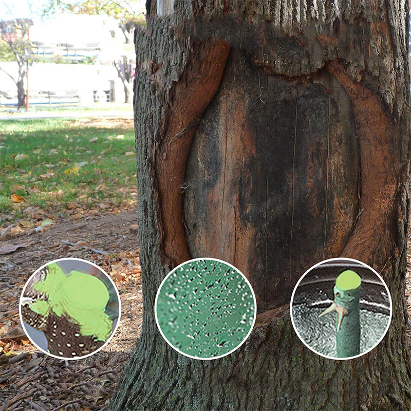 Agente curativo per ferite di grandi alberi