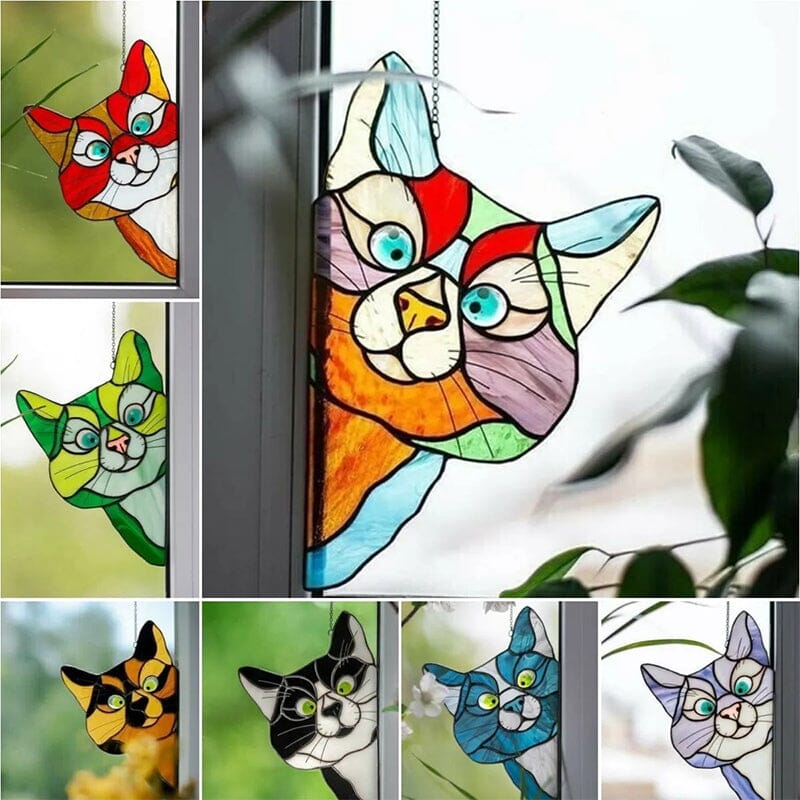 Decorazione Divertente dei Gatti