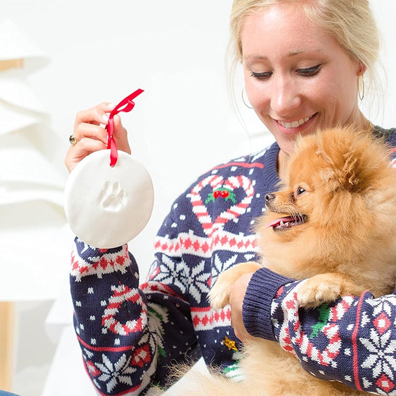 Kit per modellare la zampa di un animale domestico in argilla