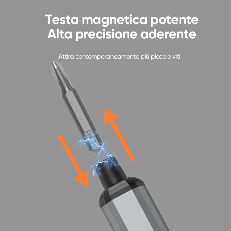 Set di cacciaviti 24 in 1