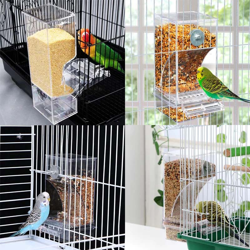 Mangiatoia per uccelli trasparente automatica antigoccia