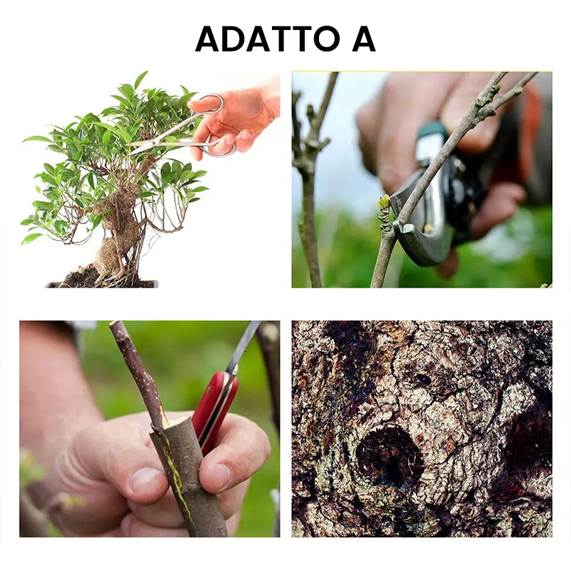 Agente curativo per ferite di grandi alberi