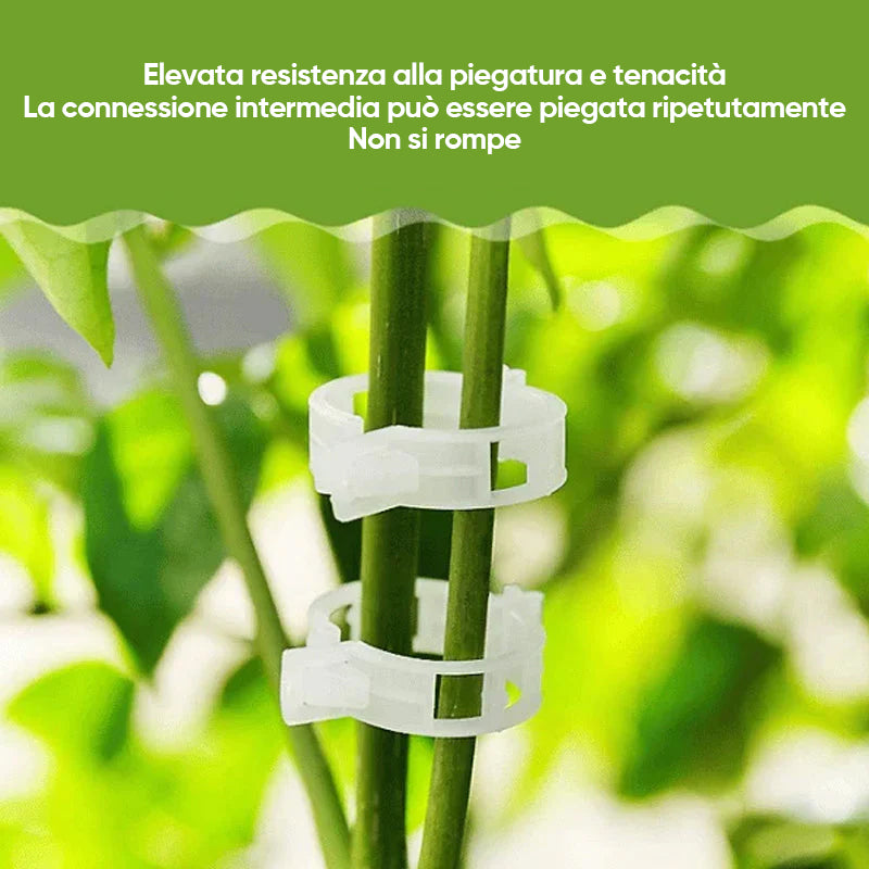 Clip di supporto per piante