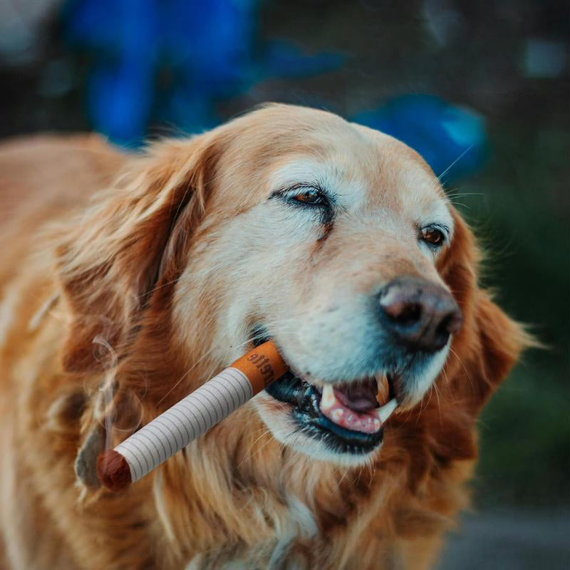 Giocattoli per sigarette per animali domestici