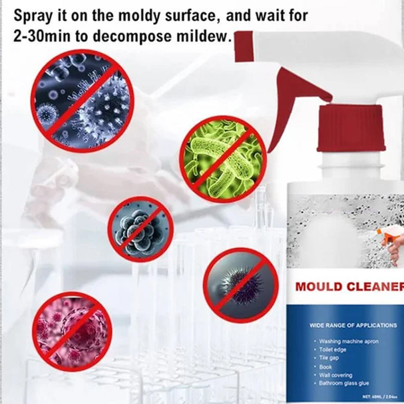 Schiuma detergente antimuffa