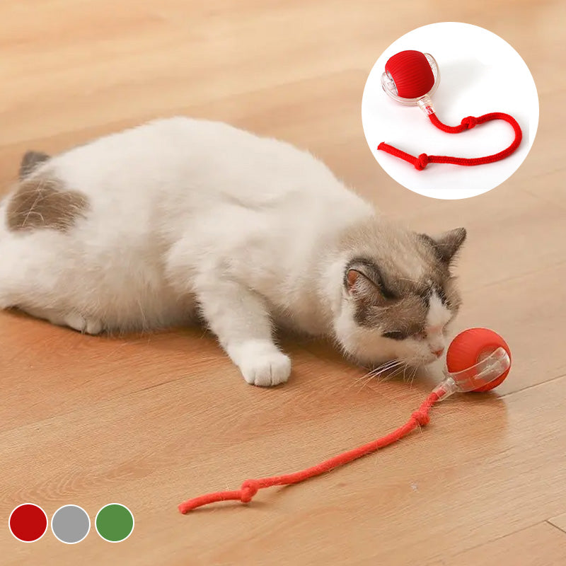 Palla interattiva per gatti da interno
