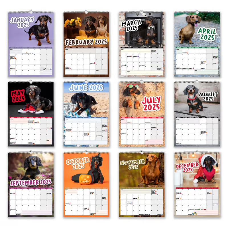 Cheeky Dachshunds - Calendario da parete 2025