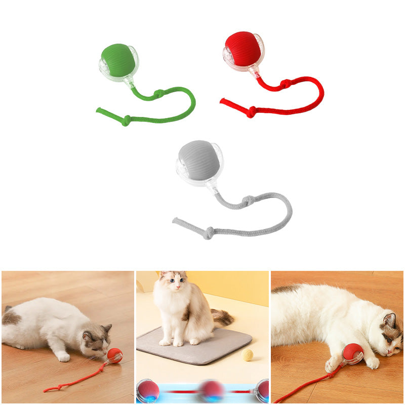 Palla interattiva per gatti da interno