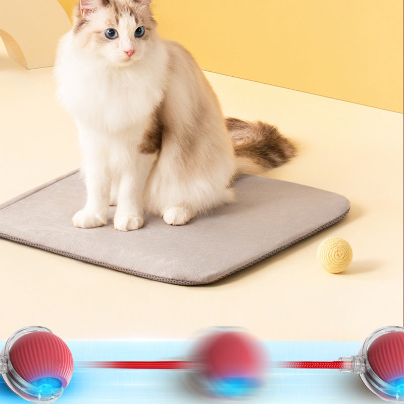 Palla interattiva per gatti da interno