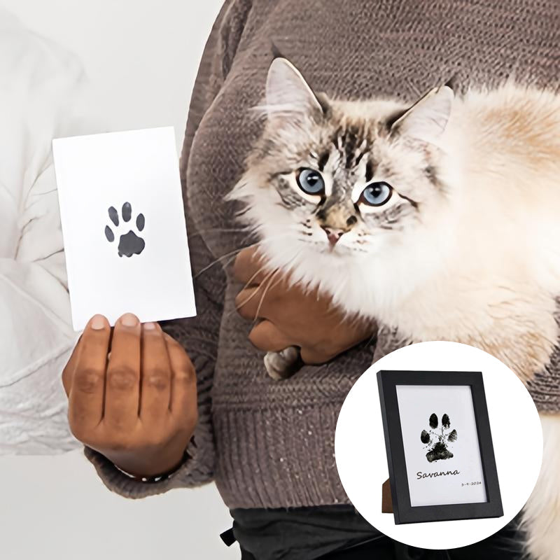 Kit per impronte di zampe di animali domestici