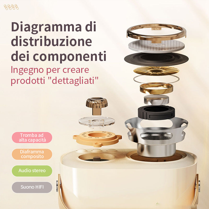 Mini Karaoke con microfono senza fili