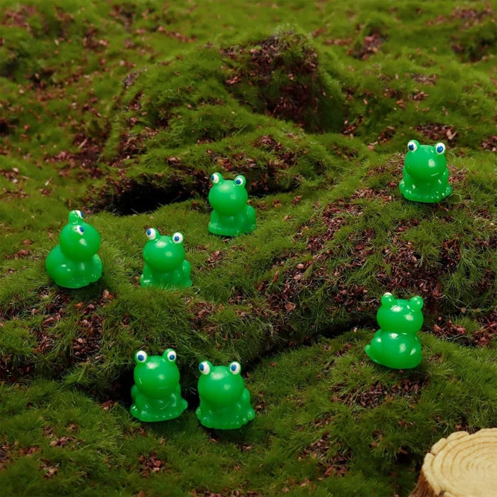 🐸Piccola rana | Sfida Nascondendo Rana