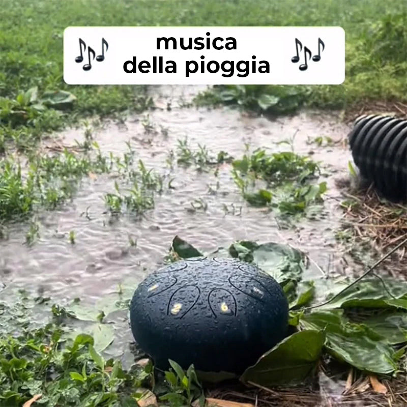 Tamburo a pioggia per giardino esterno con The Fingererstalls (spartito in inglese)