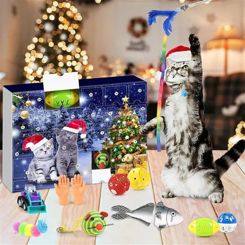 Calendario del gatto con conto alla rovescia per il Natale