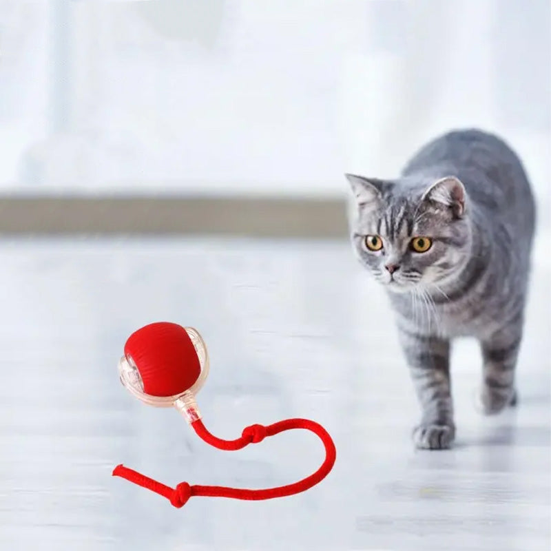 Palla interattiva per gatti da interno