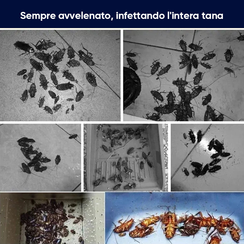 Olio essenziale potente e sicuro per repellente per scarafaggi