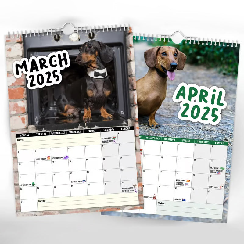 Cheeky Dachshunds - Calendario da parete 2025