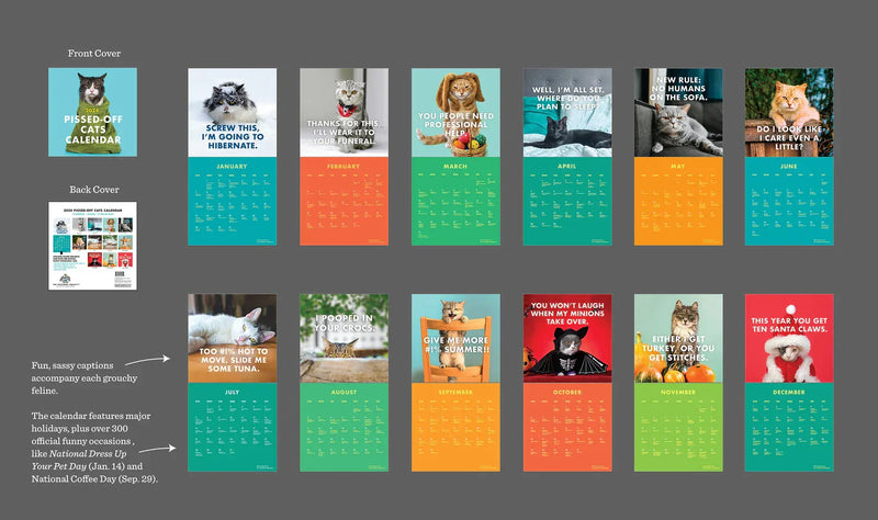 Calendario dei gatti incazzati del 2025