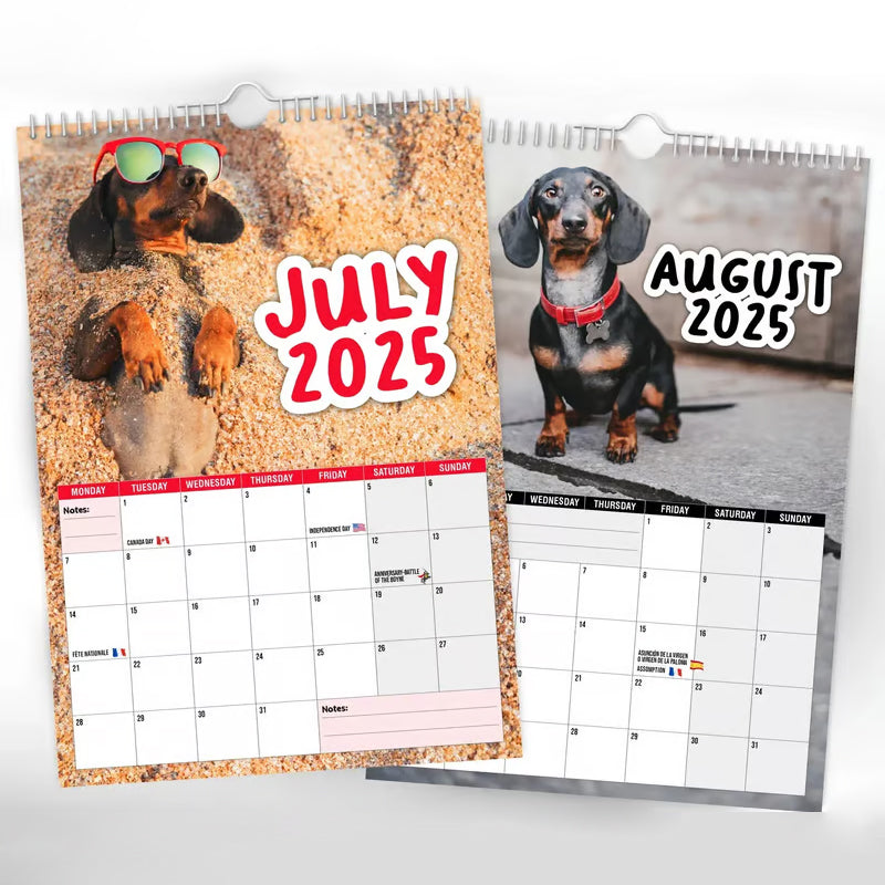 Cheeky Dachshunds - Calendario da parete 2025
