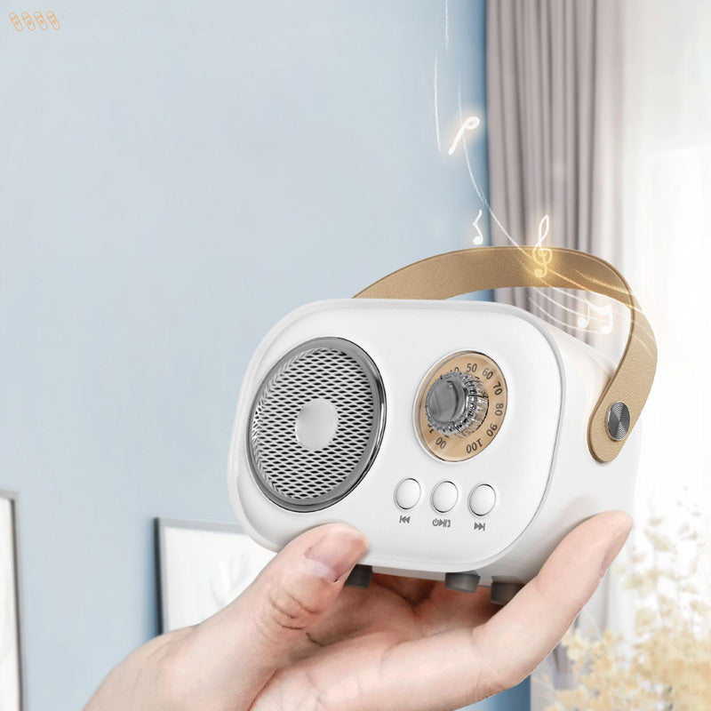 Mini Karaoke con microfono senza fili
