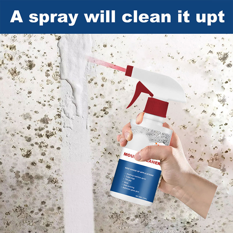 Schiuma detergente antimuffa