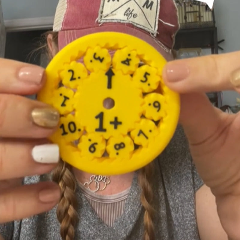 Fidget Spinners dei Fatti Matematici