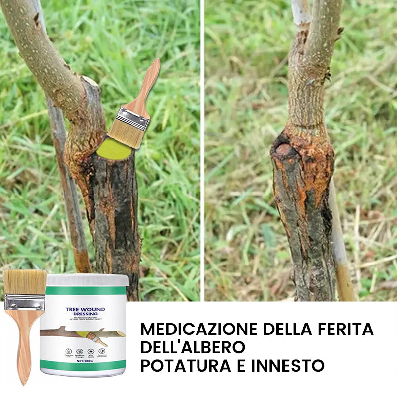 Agente curativo per ferite di grandi alberi