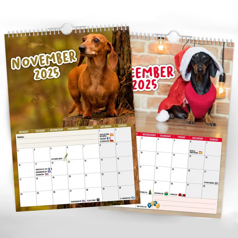 Cheeky Dachshunds - Calendario da parete 2025