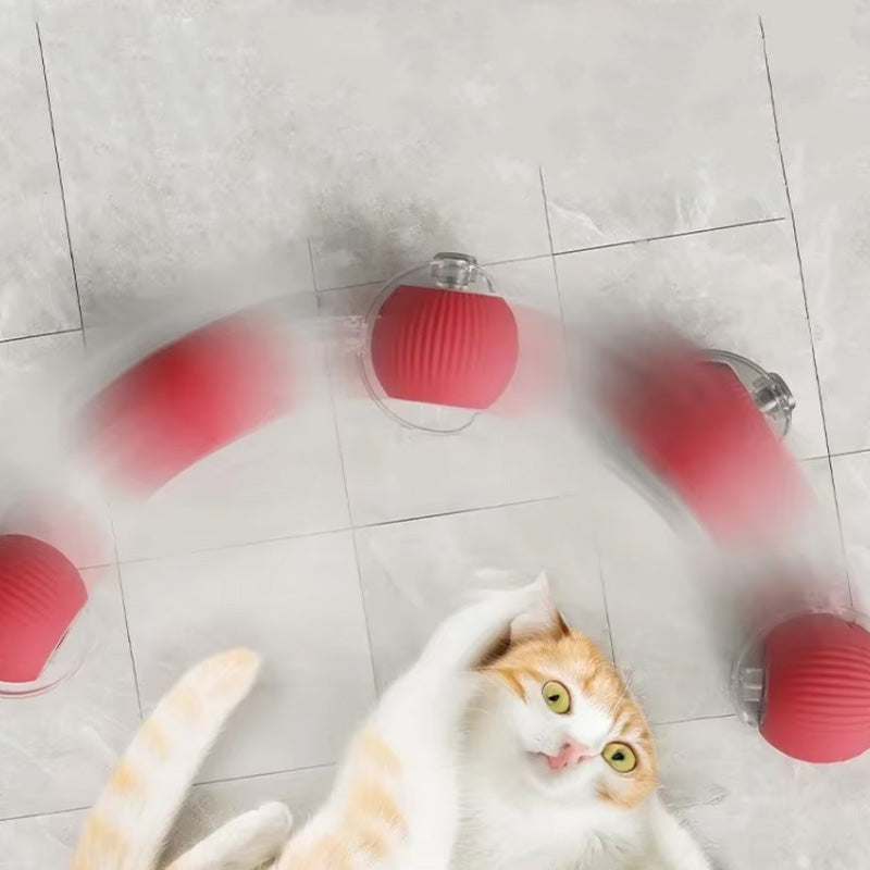 Palla interattiva per gatti da interno