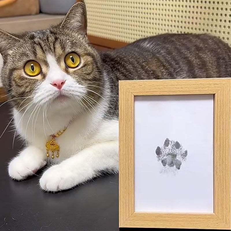 Kit per impronte di zampe di animali domestici