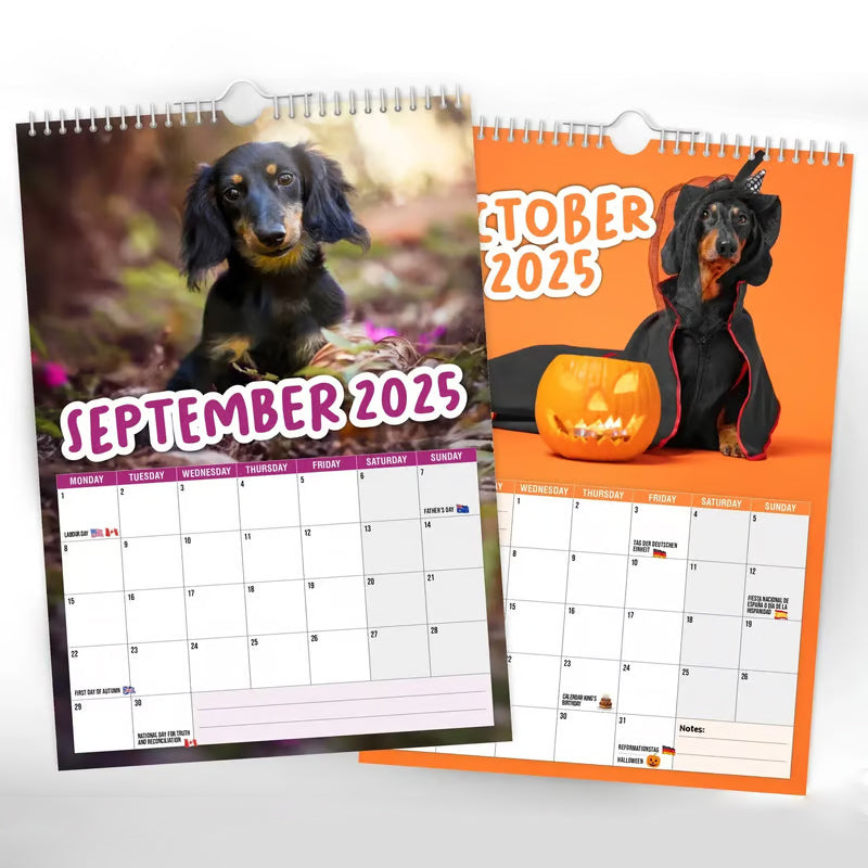 Cheeky Dachshunds - Calendario da parete 2025