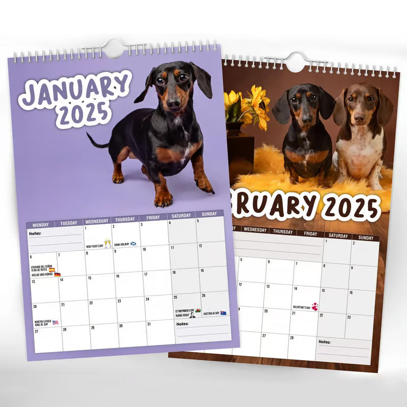 Cheeky Dachshunds - Calendario da parete 2025