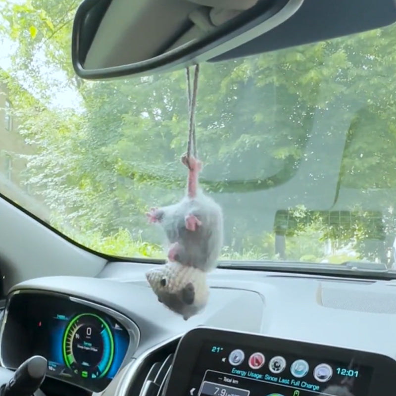 Fascino dell'auto opossum