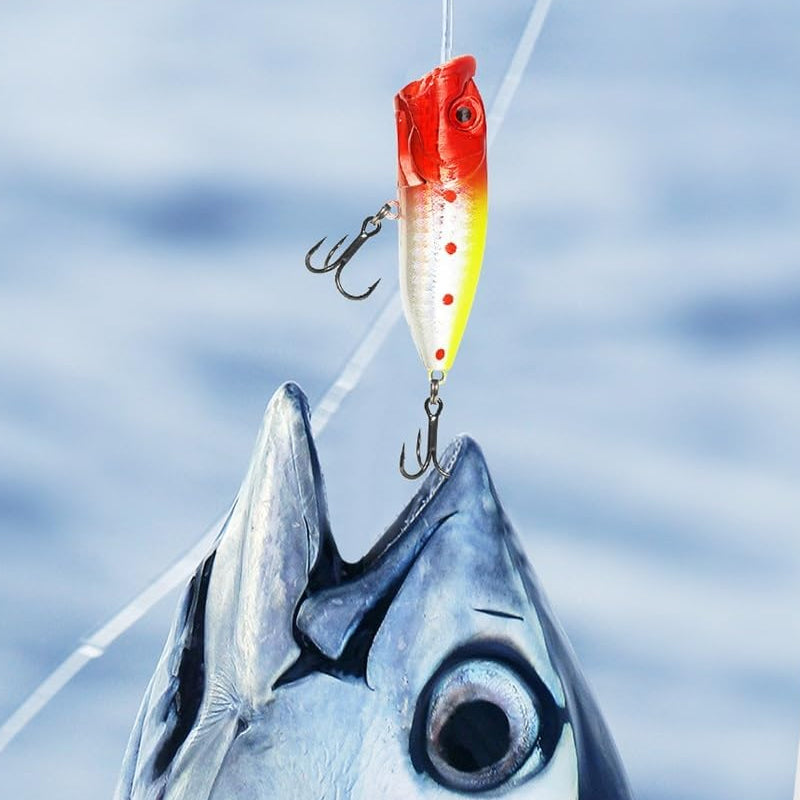 24 giorni di Natale Conto alla rovescia per il set di attrezzi da pesca