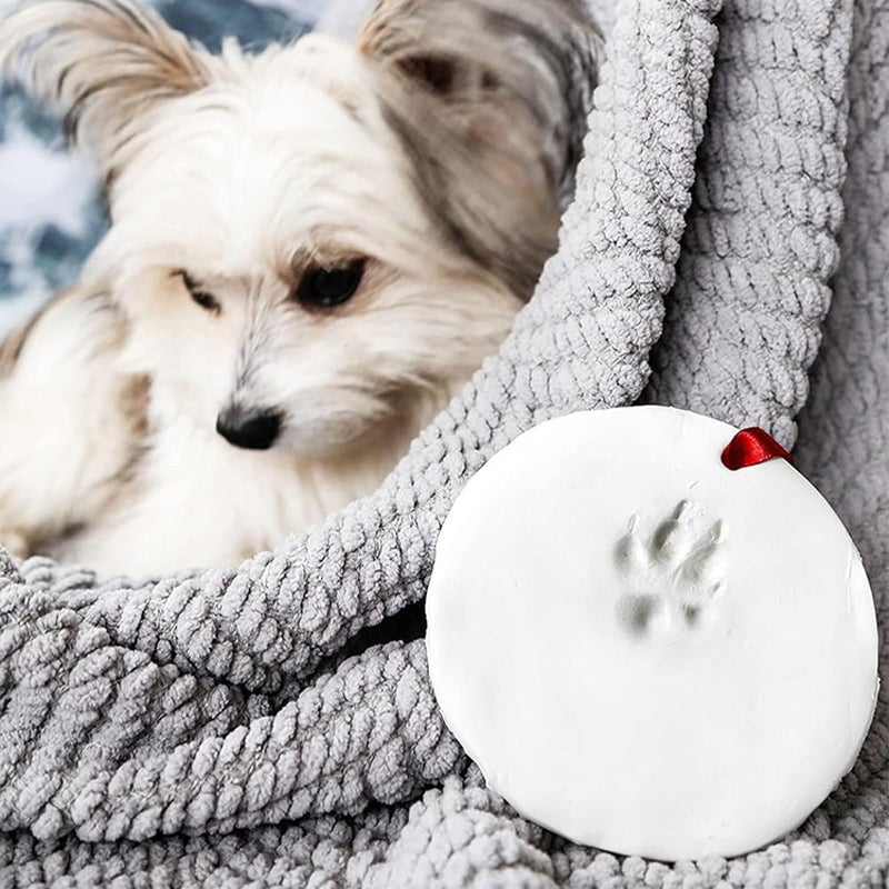 Kit per modellare la zampa di un animale domestico in argilla