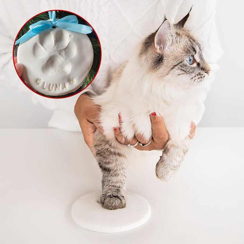 Kit per modellare la zampa di un animale domestico in argilla
