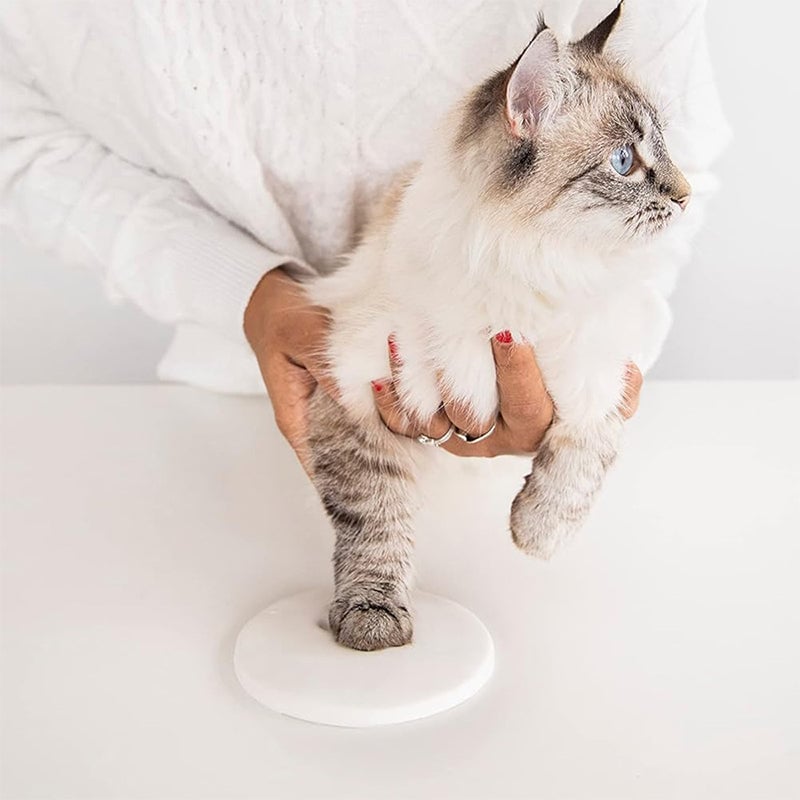 Kit per modellare la zampa di un animale domestico in argilla