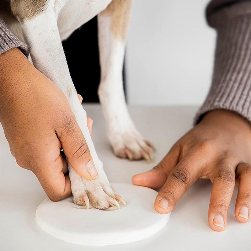 Kit per modellare la zampa di un animale domestico in argilla