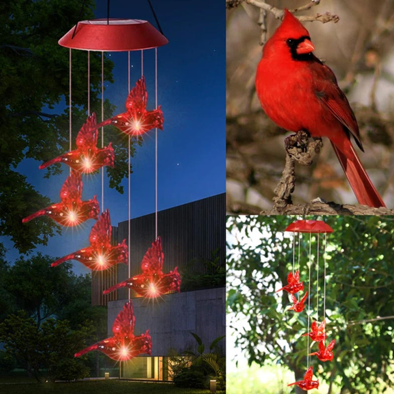 Carillon Solare a LED con Colibrì