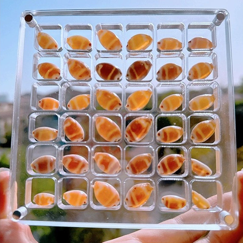 Espositore con guscio magnetico in acrilico