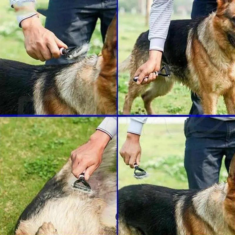Pettine smacchiatore adatto agli animali domestici