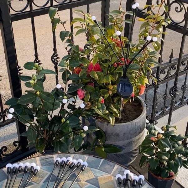 Luce LED Solare da Giardino a Lucciola